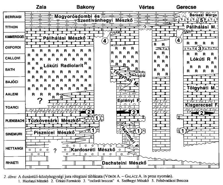 Radiolarit: kovavázú egysejtűek, sugárállatkák (Radiolaria) vázaiból álló szerves