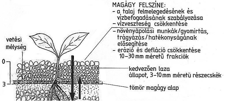 - 18 - Van még egy másik előnye is ennek a szabadalmaztatott hengerfelületnek. A hengert kifejezetten javasoljuk vetés előtti hengerezésre is.