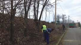 7761 Kozármisleny, Pécsi utca 124. Tel: Barics Arnold üv: (30) 337-2715 email: kft@kozarmisleny.