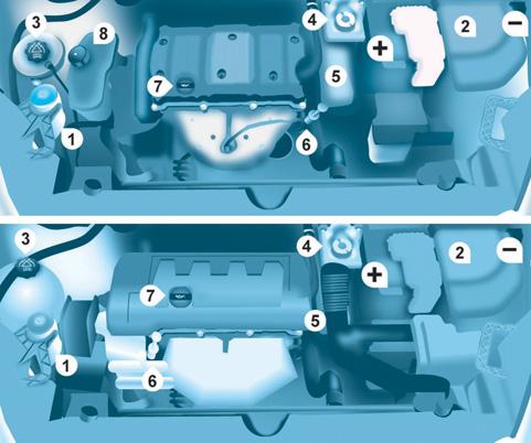 Motortér BENZINMOTOR A motortérben végzett műveleteknél mindig legyen nagyon óvatos. 135 1. Első ablakmosótartály 2. Biztosítékdoboz 3. Hűtőfolyadék-tartály 4.