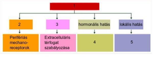 (2.1) Milyen folyamatot ábrázol az ábra? Nevezze meg a számozott részeket! (2.2) A(z) 1 jelű rész neve: (2.3) A(z) 2 jelű rész neve: (2.