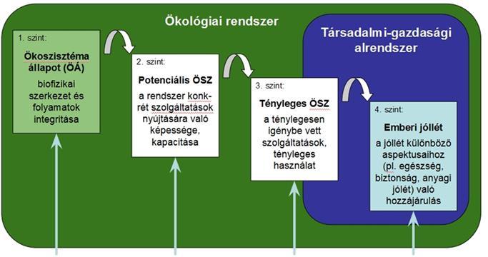 Elvi hátteret adó kaszkád rendszer ökoszisztéma állapot emberi jóllét ember alapvető fiziológiai