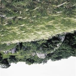 A dolomit jellegzetes vegetációmozaikja: Sziklafüves lejtősztyepp (Chrysopogono-Caricetum humilis) árvalányhajas
