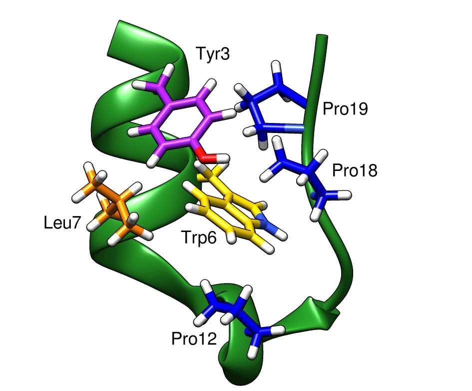 Bevezető A mindössze 20 aminosavból felépülő, de novo tervezett Trp-kalitka minifehérje már számos in vitro és in silico vizsgálat tárgyát képezte.