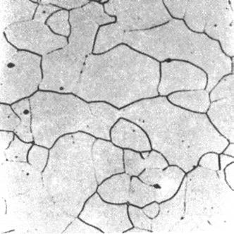 50 0.6. ábra Ferrit mikroszkópi képe (240-szeres nagyítás) A 0.6. ábra ferrites szövetszerkezetet mutat be, amely közel tiszta vas.