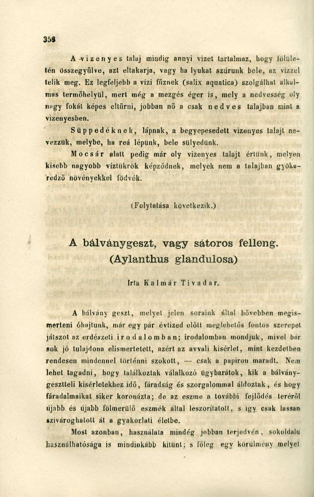 Avizenyes talaj mindig annyi vizet tartalmaz, hogy lólületén összegyűlve, azt eltakarja, vagy ha lyukat szúrunk bele, az vizzel telik meg.