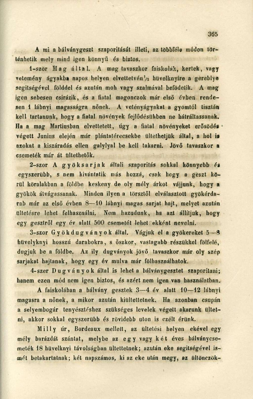 A mi a bálványgeszt szaporítását illeti, az többféle módon történhetik mely mind igen könnyű és biztos. 1- ször Mag által.
