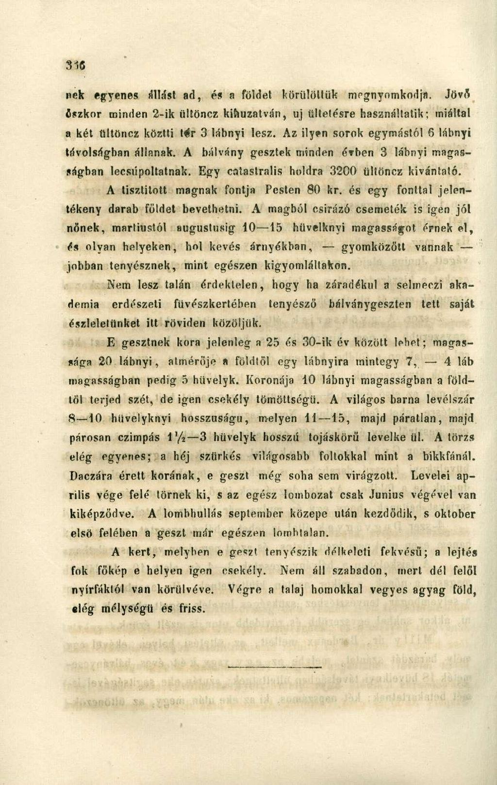 nek egyenes állást ad, és a földet körülöltük megnyomkodja. Jövő őszkor minden 2-ik ültöncz kihúzatván, uj ültetésre használtatik; miáltal a két ültöncz kőztti t<ár 3 lábnyi lesz.