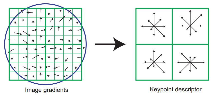 5. ábra. A kulcspont leíró készítése [3] változás (a pixelértékekhez egy konstanst adunk) nem hat a gradiensértékekre, mivel a pixelértékek különbségét vesszük.
