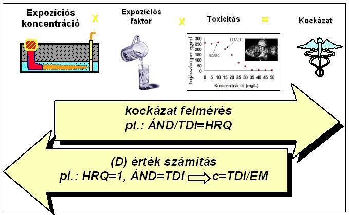 A kockázatfelmérés és a