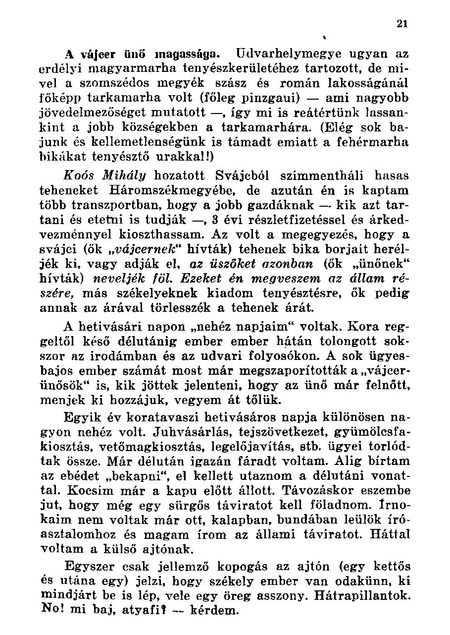 A vájcer ünő magassága.