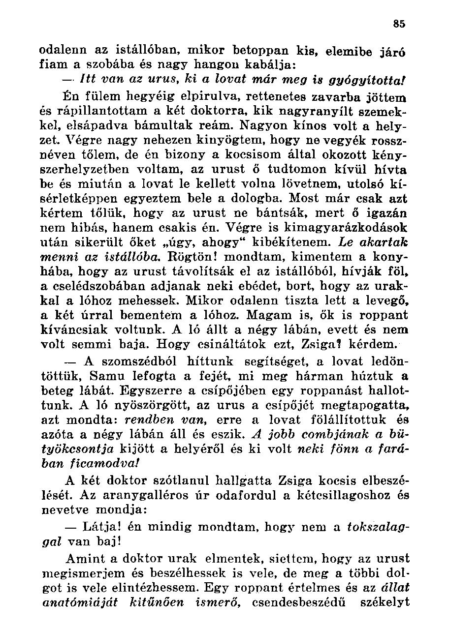 odalenn az istállóban, mikor betoppan kis, elemibe járó fiam a szobába és nagy hangon kabálja: Itt van az urus, ki a lovat már meg is gyógyította!