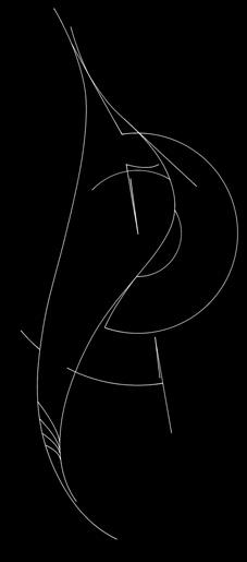 35 CM)