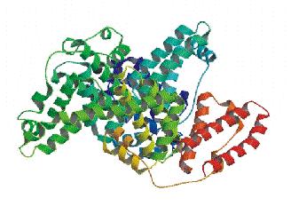 Új, izocianocsoportot tartalmazó aromás szolvatokróm fluorofórok ESI-MS (Cisztein) + (KAC) (BSA) Fluoreszcenciás mérések Normalized Intensity 1.8.6.4.