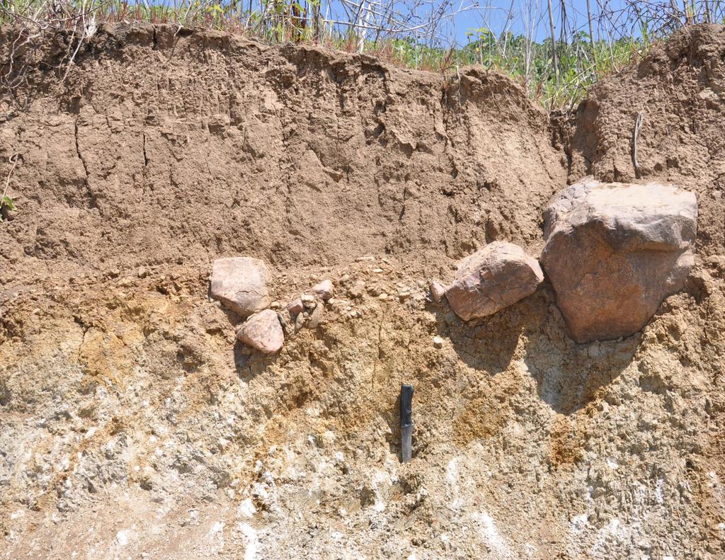 A legritkább esetben egységes A talajképző kőzet nem feltétlenül az alatta lévő
