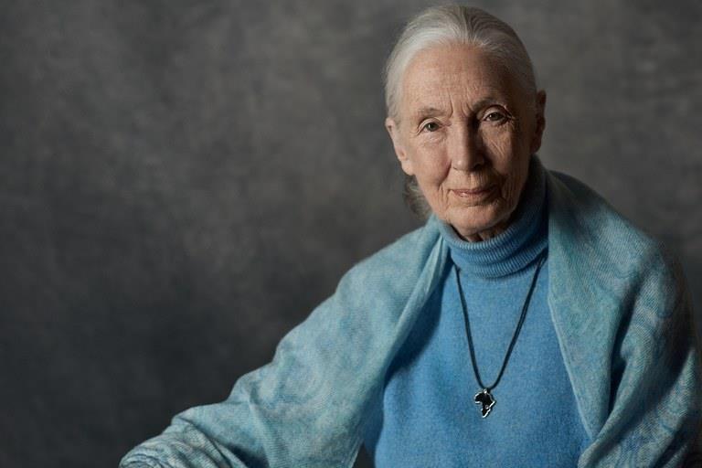 Jane Goodall