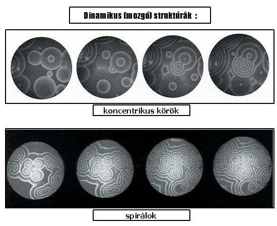 Magyar Kémiai Folyóirat - Összefoglaló közlemények 45 értelemben vett zárt rendszerben az idő függvényében mért oszcillációs jelek csillapított amplitudóval követik egymást, majd megszűnnek, amikor a