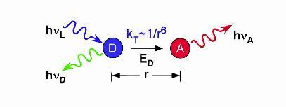 követelményeket kielégítő molekula (akceptor) között dipól-dipól kölcsönhatás révén, sugárzás nélküli