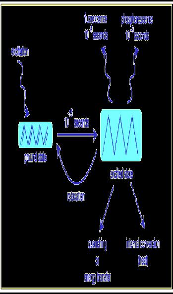 A gerjesztett állapotú elektron lecsengési lehetőségei Gerjesztés Fluoreszcencia 10-9 s Foszforeszcencia 10-3 s k f k