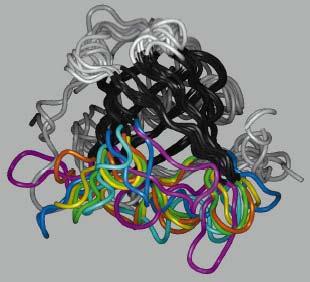A legegyszerűbb fehérje chipek vagy felismerőrendszerek úgy működnek, hogy van egy anyagom, amelyre szeretnénk egy specifikus receptort előállítani, akkor azt befecskendezzük egy állatba (pl.