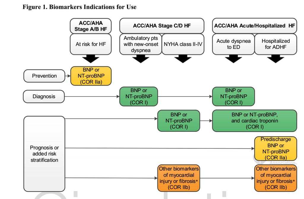 2017 ACC/AHA/HFSA HF Guideline Yancy CW et al.