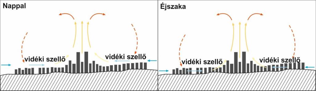 A hősziget közvetlen hatásaként meghosszabbodik a növények vegetációs periódusa és eltolódnak a fenológiai fázisok.