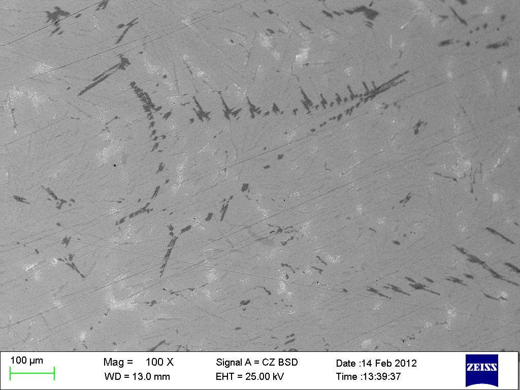 SEM - Fázisazonosítás Ni x Cu y Sn z (Sn+Bi) β-sn