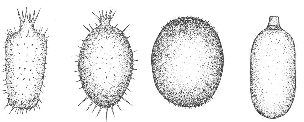 Borics, G., Várbíró, G., Grigorszky, I., Krasznai, E., Szabó, S. & Kiss, K. T., 2007. A new evaluation technique of potamoplankton for the assessment of the ecological status of rivers. Arch.