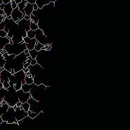 Az intermedier filamentum alegysége: coiled-coil