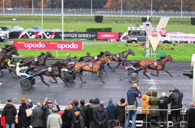 ÜGETŐ 10 Redwood Vita 2000 m Hajnal Tibor (137,20-39) (Piros, fehér váll) 6 pm Ata Star L. - Corsa De Gloria / Indro Park Hajnal Tibor Istálló: Napsugár i. 19.3 17.1-576000 Ft Élet stat.