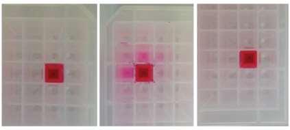 alkalmazása az igazságügyi toxikológiában Keresztszennyezés ellenőrzés - Rhodamine B festék MeOH, DCM, MTBE