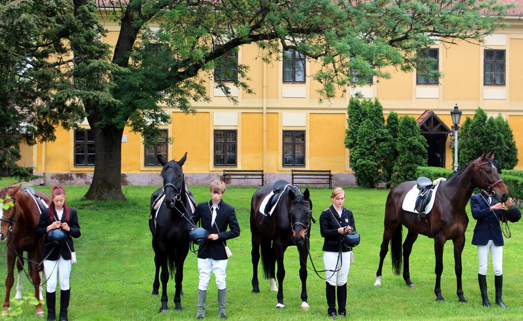 A Ménesbirtok több mint két évszázados hagyományaira épülő, országos beiskolázású lovas képzéseket ajánlunk leendő diákjaink figyelmébe: a Lovász, illetve az arra ráépülő Belovagló és Patkolókovács