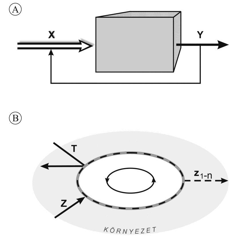 8. ábra A triviális nyílt rendszer (A) és az autopoietikus zárt rendszer (B) működése A allopoietikus gépszerű működés: X inputból kiszámítható módon mindig Y output lesz B autopoietikus működési
