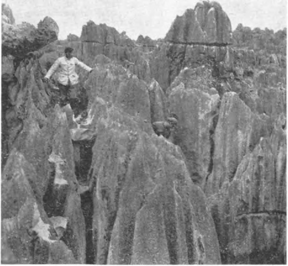 Könyvében említést tesz sziklakutakról (dolinákról), barlangokról és forrásokról, melyek miként a Karsztban, ott tűnnek el a sziklák közt s ott bukkannak fel ismét, hol a legkevésbbé vámok. A XX.