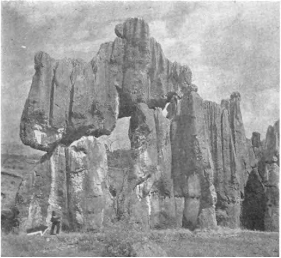 Az őslénytani kutatók és régészek értékes leletekre bukkantak egyes kínai barlangokban (PE1 WEN-CHUNG 1935, KOENIGSWALD 1939).