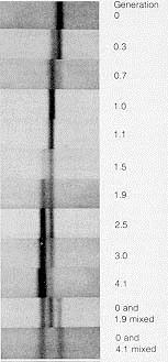 1Ti szög rotor (13 ml) g min = 7,450g; g av = 109,10g; g max = 146,680g Ha ρ = ρ k akkor F f =