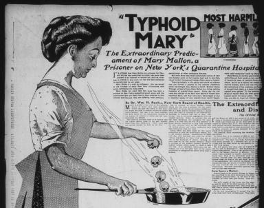 -rekonvaleszcens(dysenteria, cholera, diphteria) -krónikus (salmonellosis hastífusz: Mary Mallon-szakácsnő!