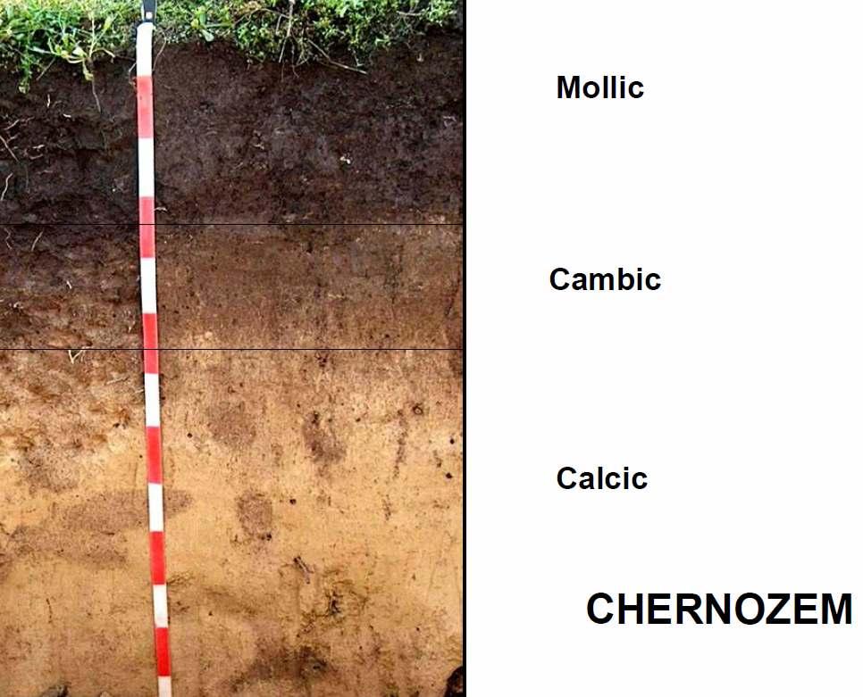 (orosz csornüj - fekete és zemlja - föld szavakból) A Chernozemek a füves puszták kevésbé