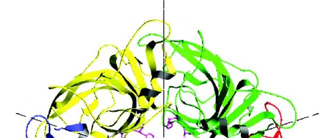 Ligandfüggő ioncsatornák Cys-loop receptorok Glicin receptor Glicin a