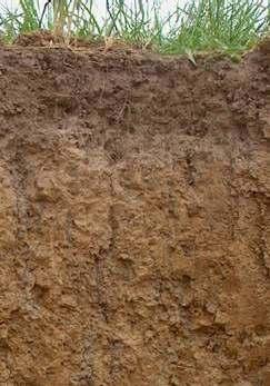 A talajképzı tényezık meghatározzák, milyen talajok képzıdhetnek egyes területeken. A talajképzı folyamatok a képzıdés mikéntjét írják le.