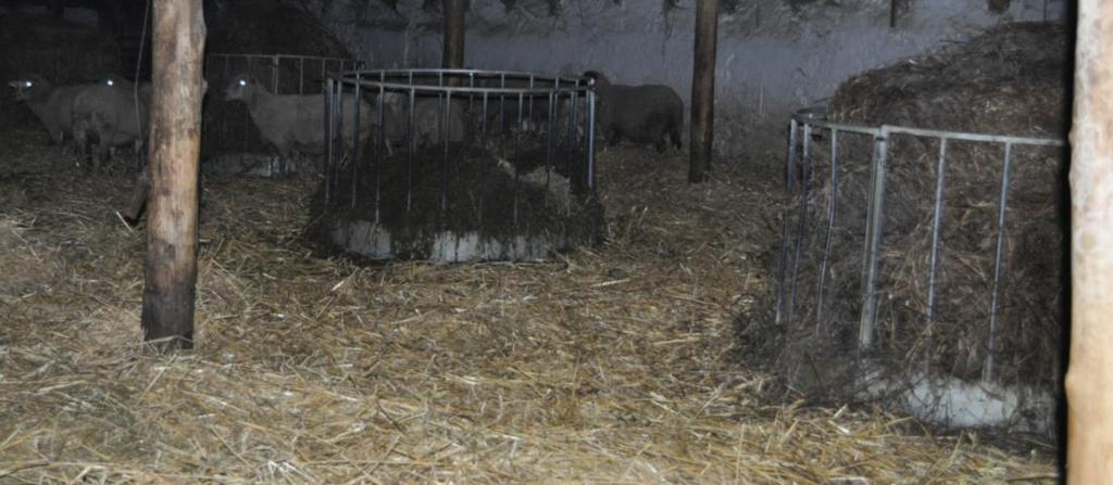 Körbálaetetők A juhászok körében egyre elterjedtebb a körbálaetetők használata, ennek elsődleges oka az alacsony a munkaerőigény.