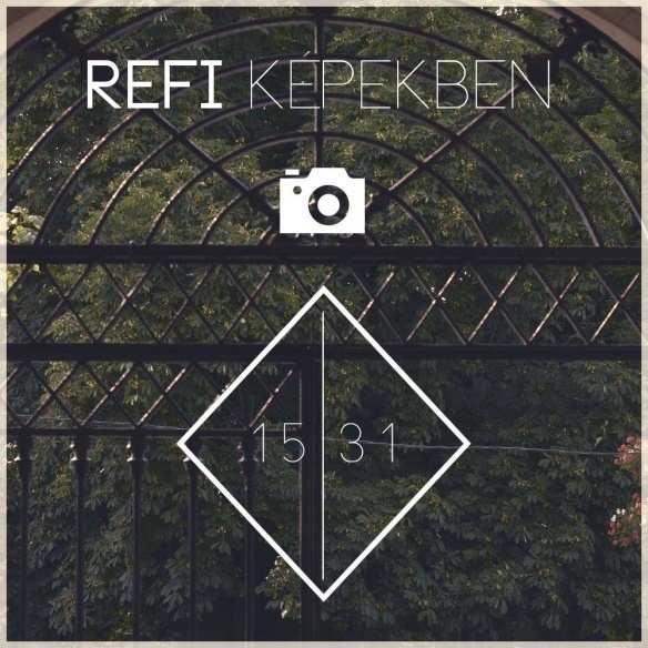 KÖZÖSSÉGI MÉDIA-HONLAP REFI Képekben https://www.facebook.com/refikepekben/ Sárospataki Refi https://www.youtube.