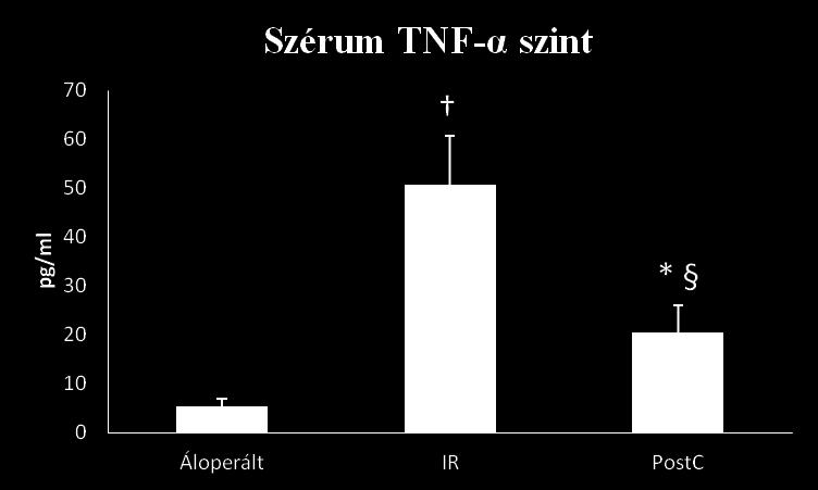 15. ábra: A TNF-α a szisztémás gyulladásos válaszreakció akut fázisában jelenik meg, melynek szérumszintjét a posztkondicionálás eredményesen csökkentette. ( p<0.05 vs. Áloperált; *p<0.05 vs. IR; p<0.