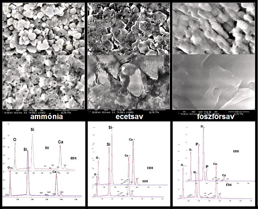 II. 11. ábra. Különböző katalizátorokkal készített kalcium-szilikát minták SEM felvételei (75000x).