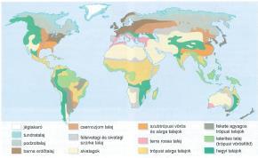 Főbb talajtípusok elterjedése a Földön és hazánkban Talaj