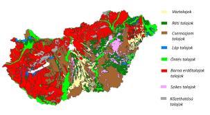 színtere biomassza termelés/termesztés alapvető közege, élő