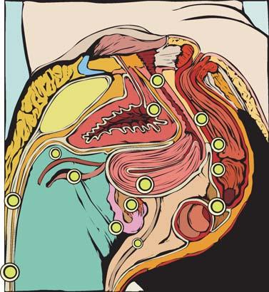 Az indukciós elmélet a coelomahám-metaplasia elmélet kiterjesztése, mely szerint a peritoneum mesenchymalis sejtei, külsõ tényezõk hatására, endometrialis sejtekké alakulnak át.