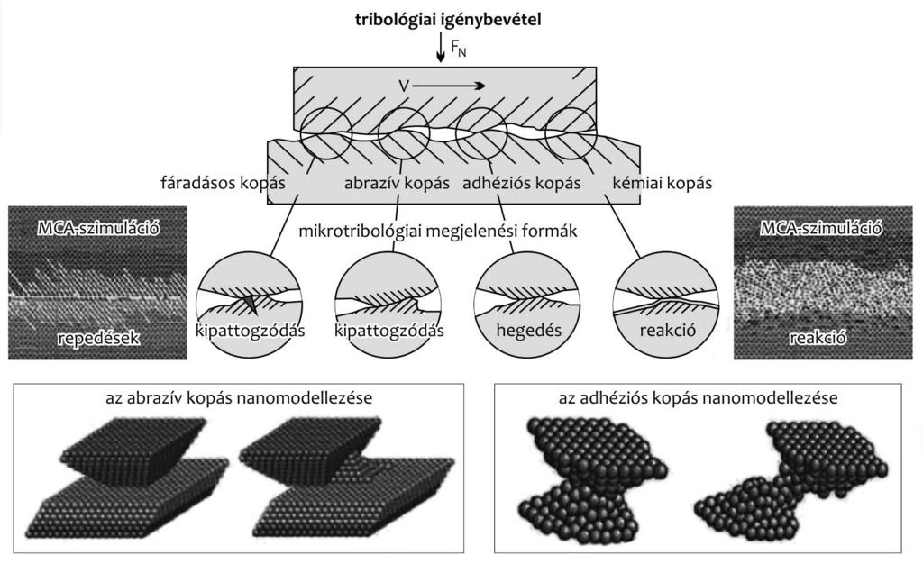 74 5. ábra Kopásmechanizmusok (Czichos et al. 2010) feszültségkoncentráció következtében mikrorepedések jöhetnek létre.