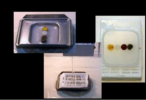 One-Thermo Refine- Leica ImPress-Leica Super Sensitive-Biogenex Super Picture-Invitrogen-3rd Gen IHC Detection Kit HiDef Detection HRP Polymer Quanto- Thermo autostainer- Mach 4-Biocare Optiview ampl