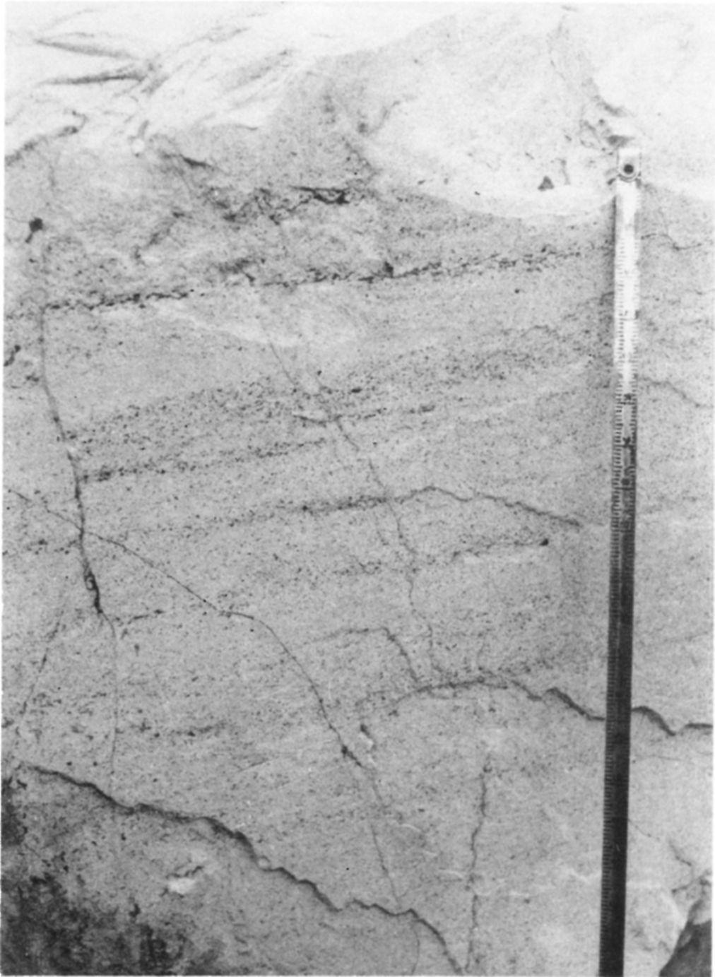 kép), 5,0-7,0 m közt márgás közbetelepüléssel, amelyben szórt helyzetű ooidok, páttábla töredékek, szögletes vulkanittöredékek és homokkő darabkák láthatók.